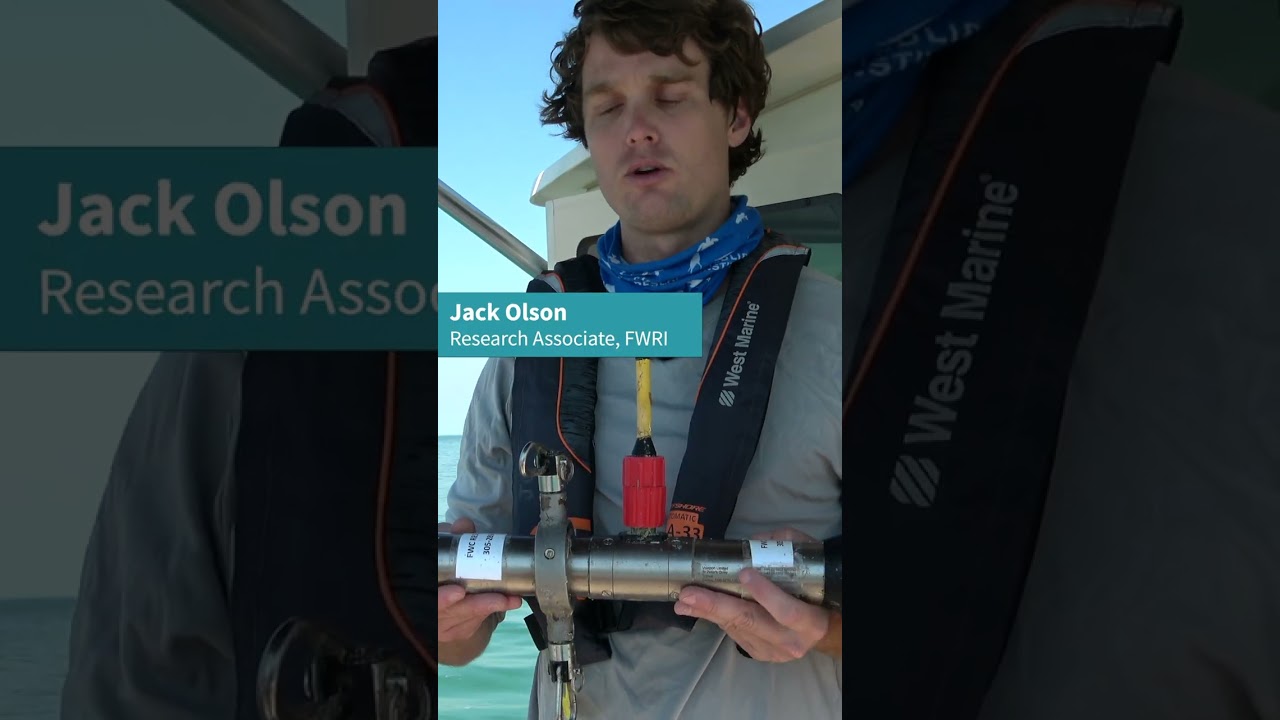 Western Dry Rocks Research: Current Meter #shorts #floridakeys #marinebiology