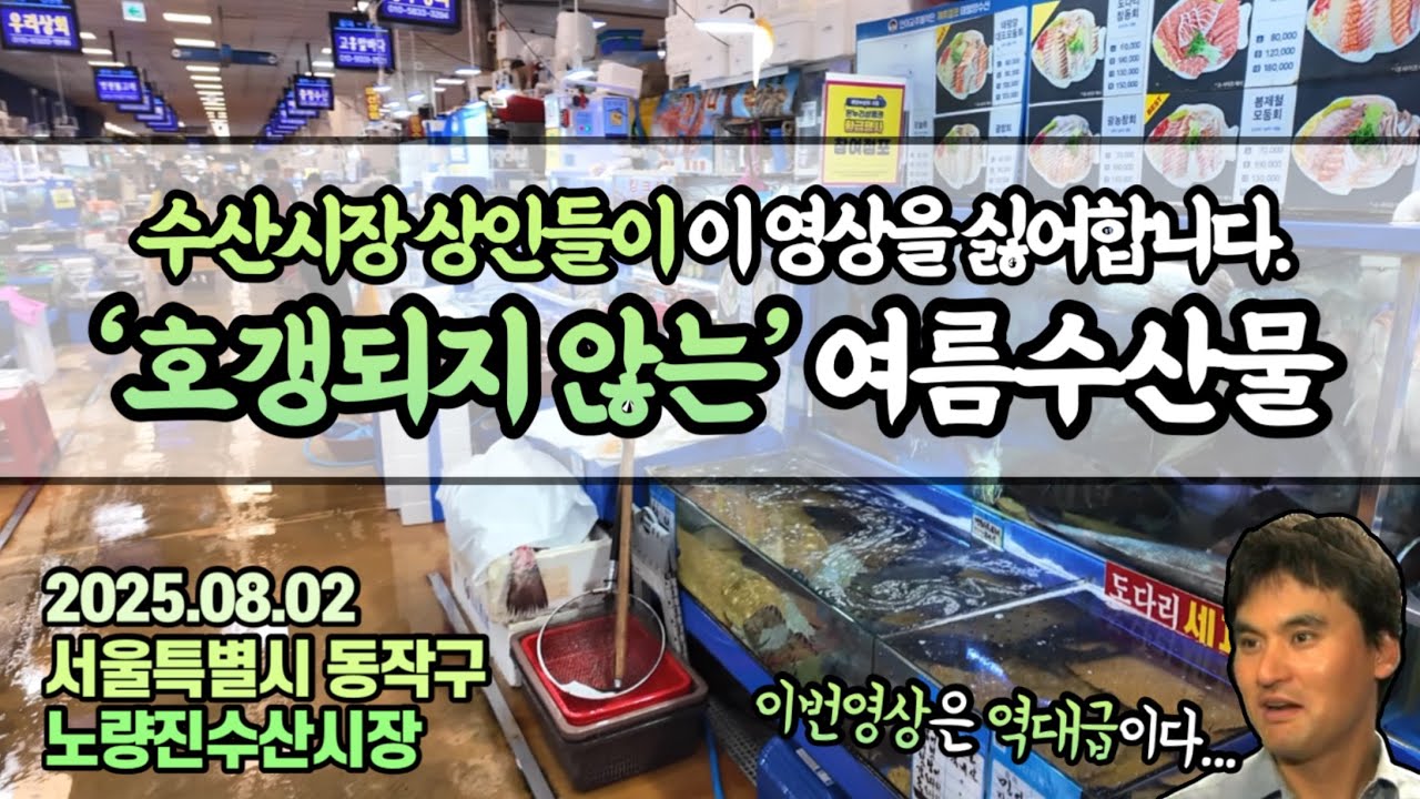 이런걸 드시면 상인들이 싫어합니다.전문가 아닌 ㅈ문가가 말아드리는 맛깔나는 여름 제철 수산물 이야기🤤