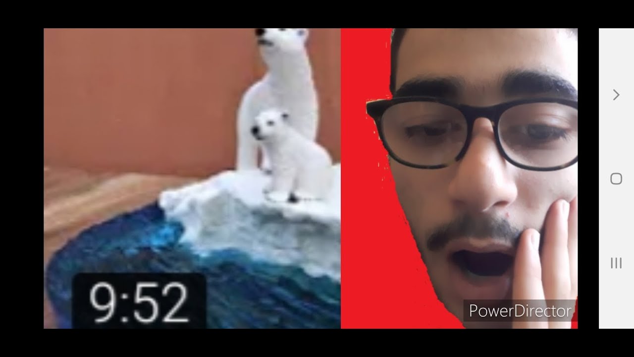 شخص يعمل مجسم دب قطبي ابداع لا يصدق