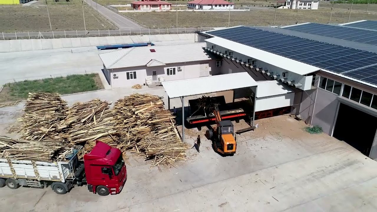 Çam Peleti Nasıl Üretilir? Doğadan Enerjiye Yolculuk