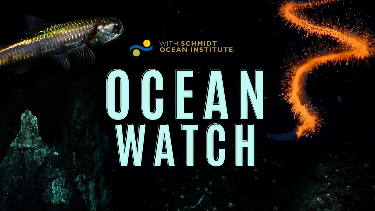 Ocean Watch | История исследования морских глубин