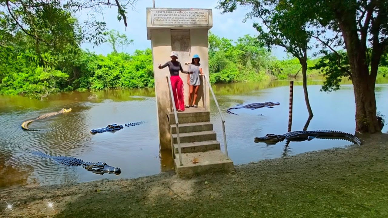 Los bichos tienen miedo bañarse en este lugar. Este rió esta lleno de cocodrilos 😬🐊