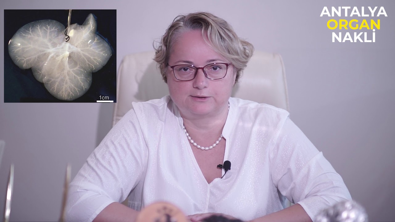 Yapay Karaciğer, Yapay Böbrek, Yapay Pankreas ta son gelişmeler