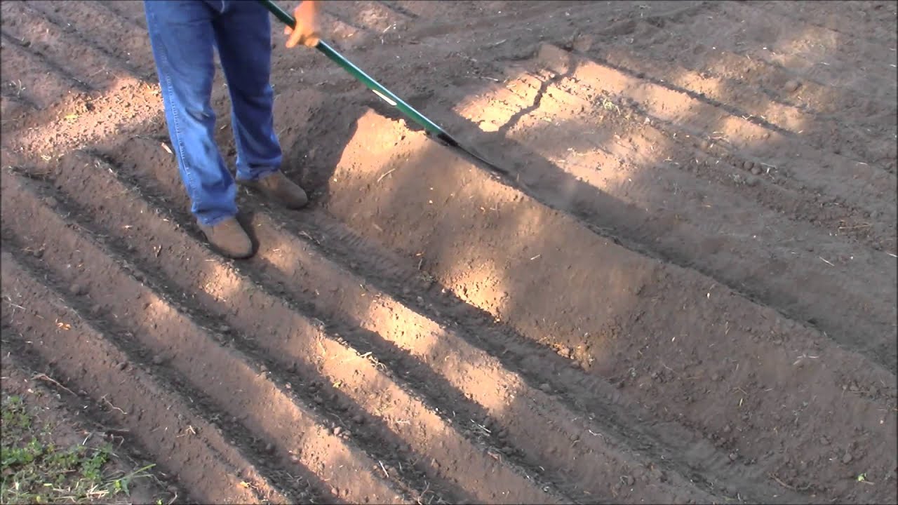 Garden Beds