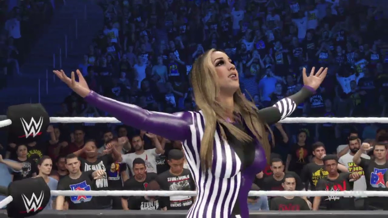 Elimination chamber: part 3 title match