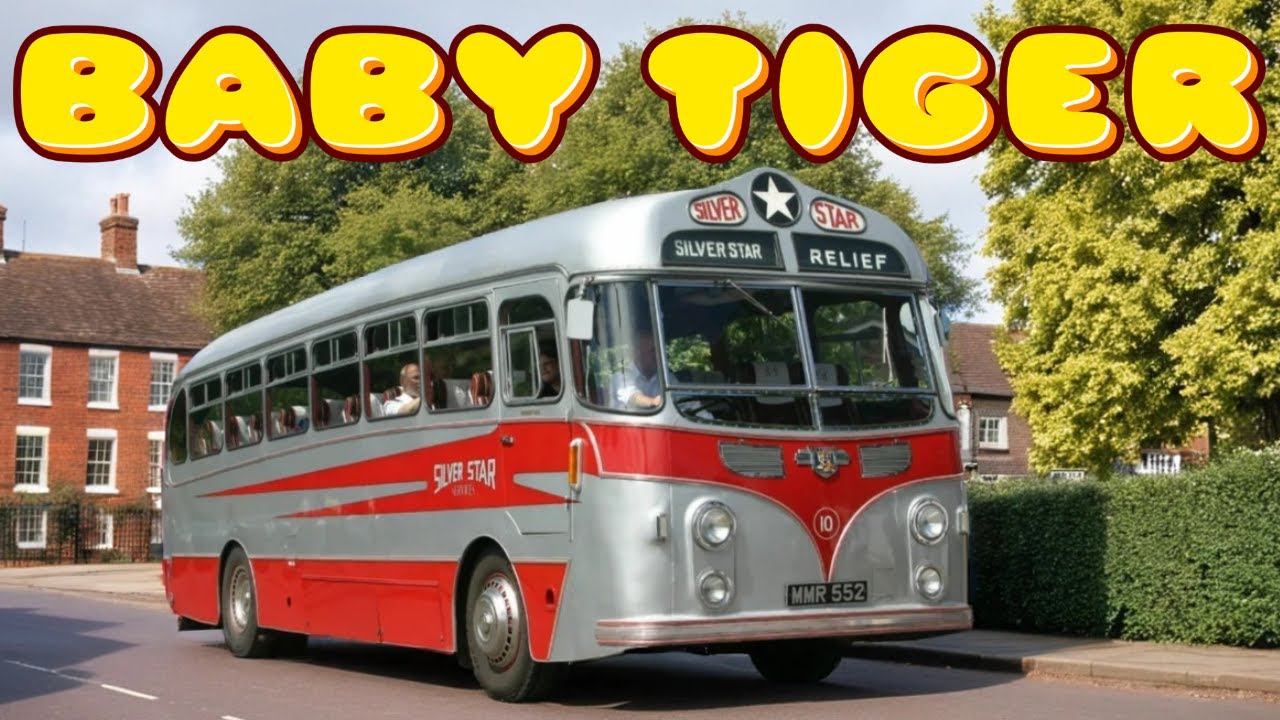 The Leyland Tiger Cub Story: The 