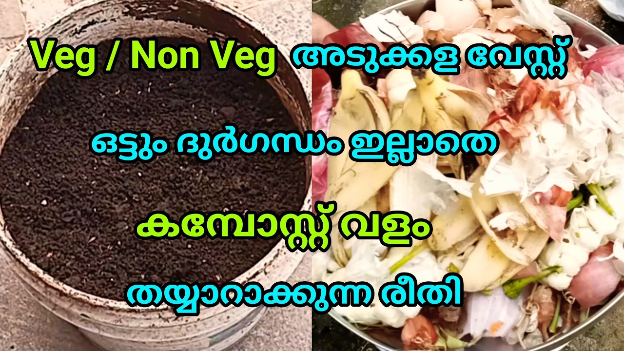 വീട്ടിൽ കമ്പോസ്റ്റ് ഉണ്ടാക്കുന്ന വിധം | Kitchen Waste Composting At Home | Krishi | Malayalam