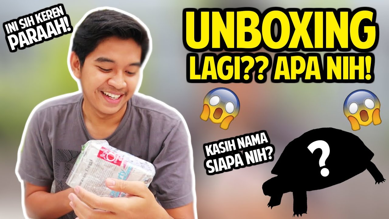 UNBOXING LAGI? APAAN NIH? | UNBOXING KURA 1000 UMAT SELAIN KURA BRAZIL!