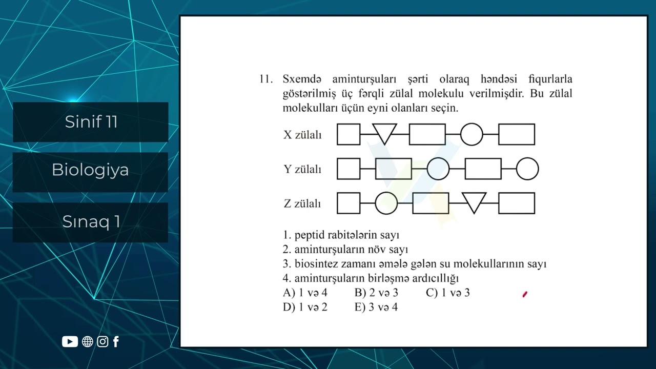 Biologiya 11 ci sinif Güvən Sınaq 1 Qrup fənləri üzrə