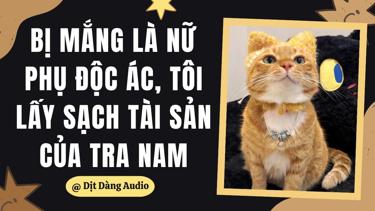 [TRUYỆN AUDIO] Bị Mắng Là Nữ Phụ Độc Ác, Tôi Lấy Sạch Tài Sản Của Tra Nam | Dịt Dàng Audio