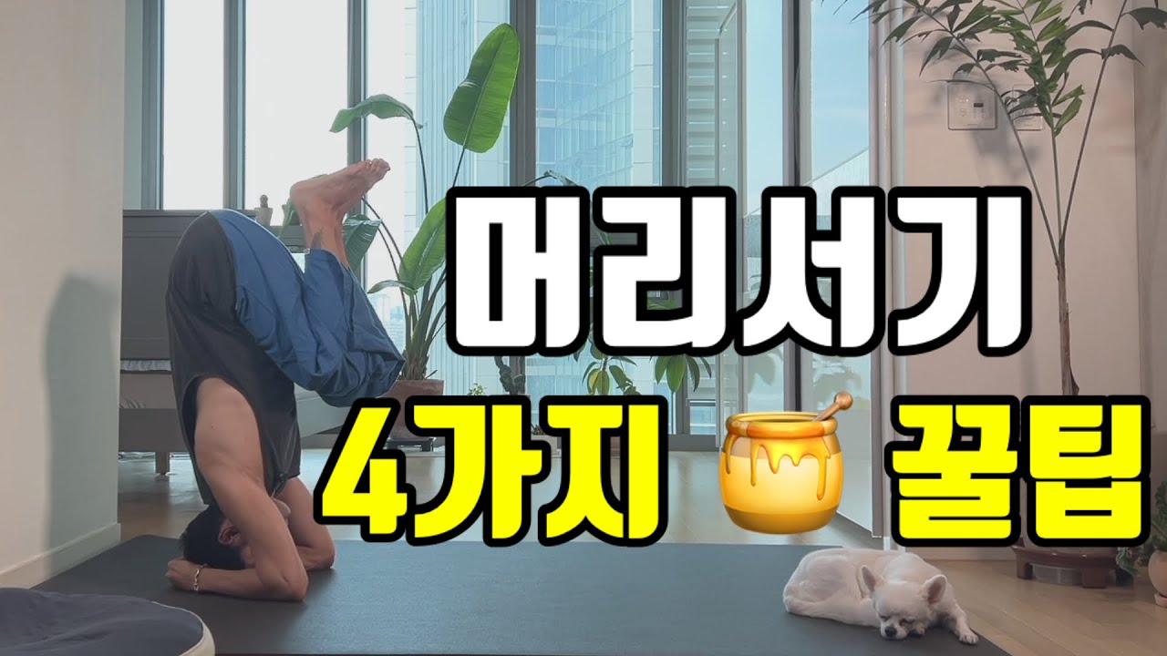 머리서기 4가지 중요 포인트 | 물구나무 서는법