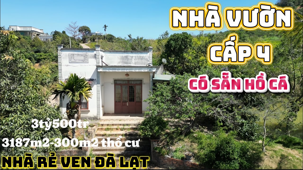 Nhà vườn ven Đà Lạt| Rộng có cây ăn trái, có hồ cá bán cực rẻ 3000m2-300m2 thổ cư. Giá 3tỷ500tr 