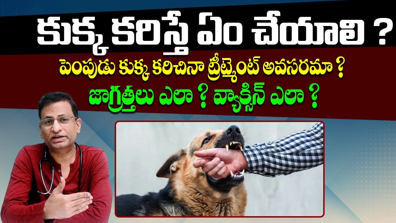 కుక్క కరిచిన వెంటనే ఇలా చేయండి - Pediatrician Dr Ravi Shankar About How To Treat A Dog Bite | THF