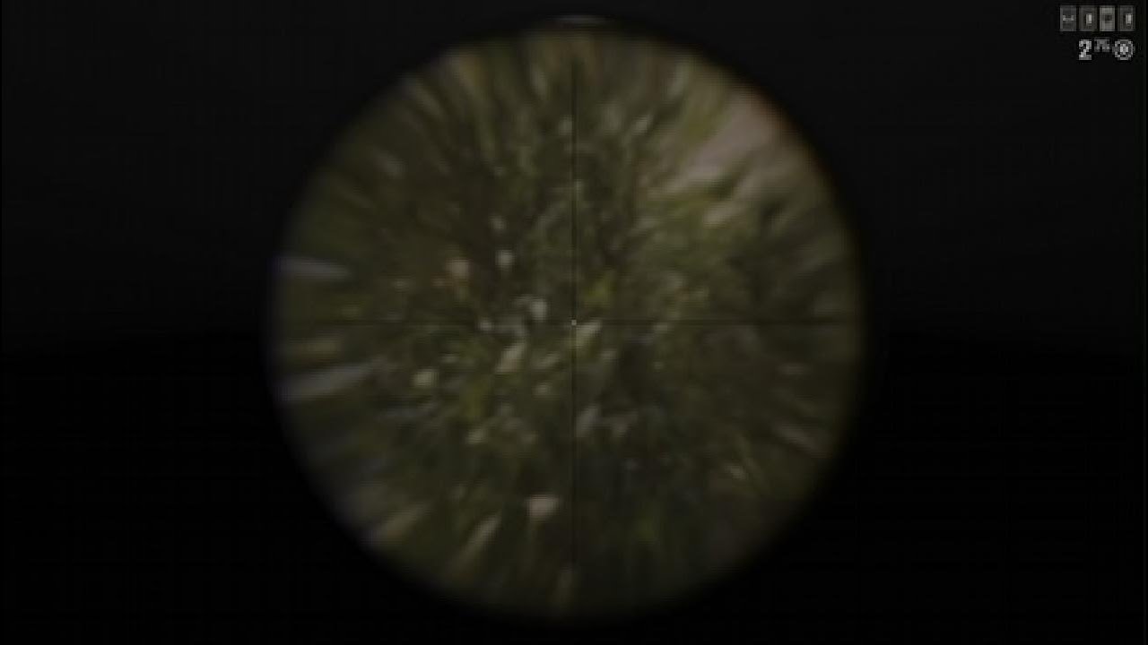 Red Dead Redemption 2_20260113233225