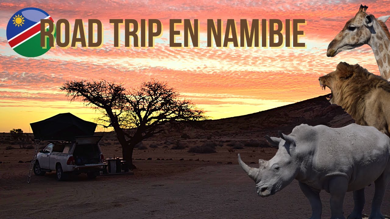ROAD TRIP en NAMIBIE - 1/3 (WILD CALLING)