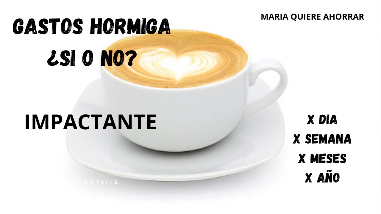 LOS IMPACTANTES GASTOS HORMIGA