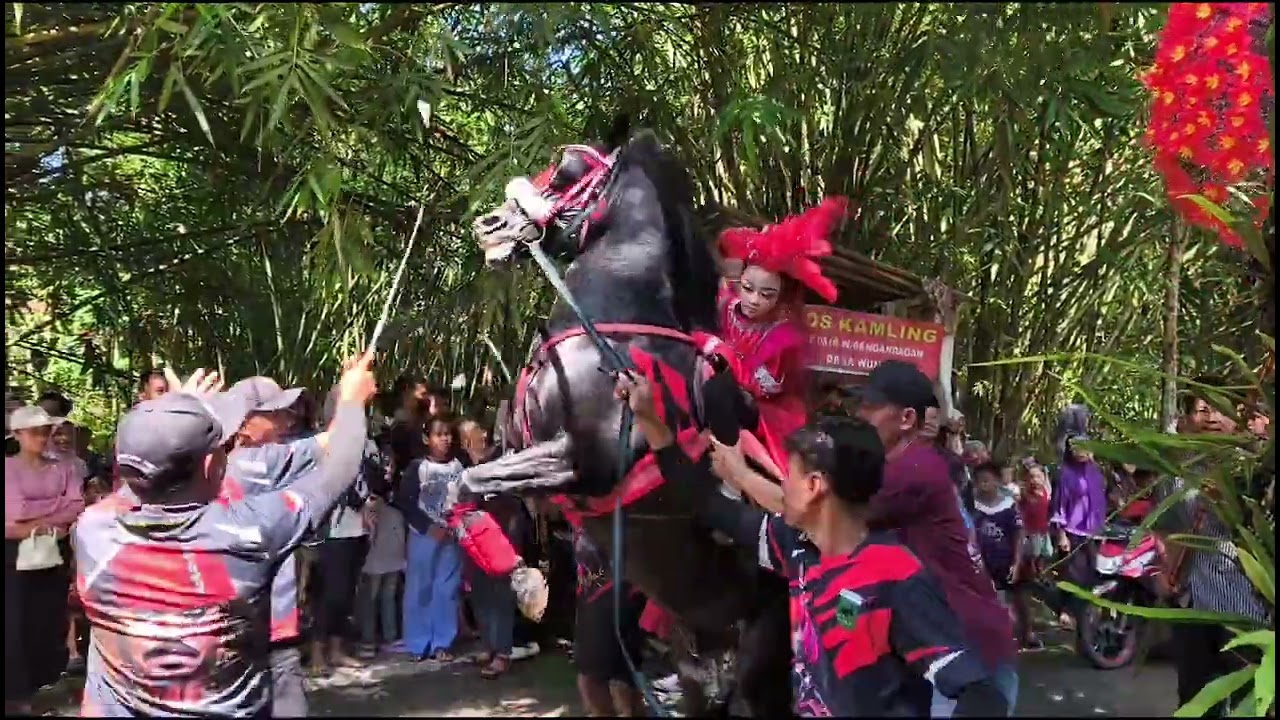 Arak arakan kuda jingkrak Desa Rebug kecamatan kemiri part4 