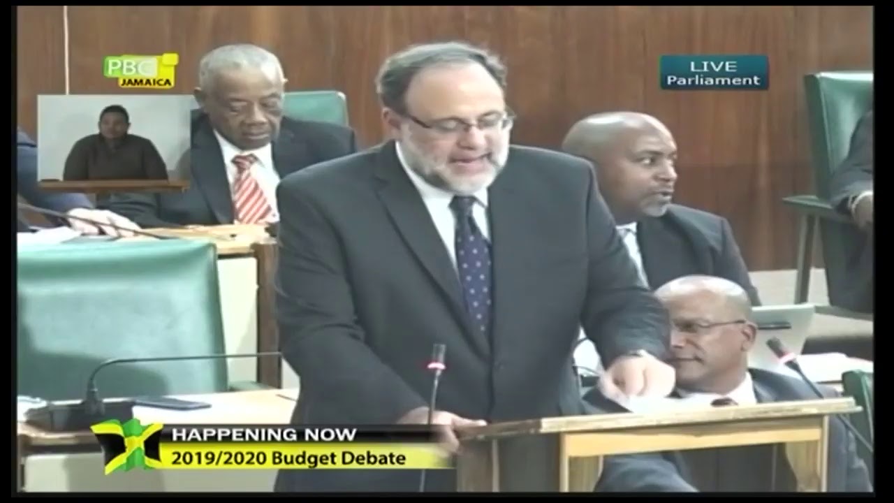 The 2019 -2020 Budget Debate - Opposition Spokesman on Finance, Mark Golding