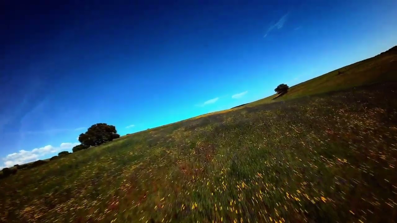 432Hz Flying Meditation ✨ Return to Inner Peace | Raise Your Vibration ✨ 