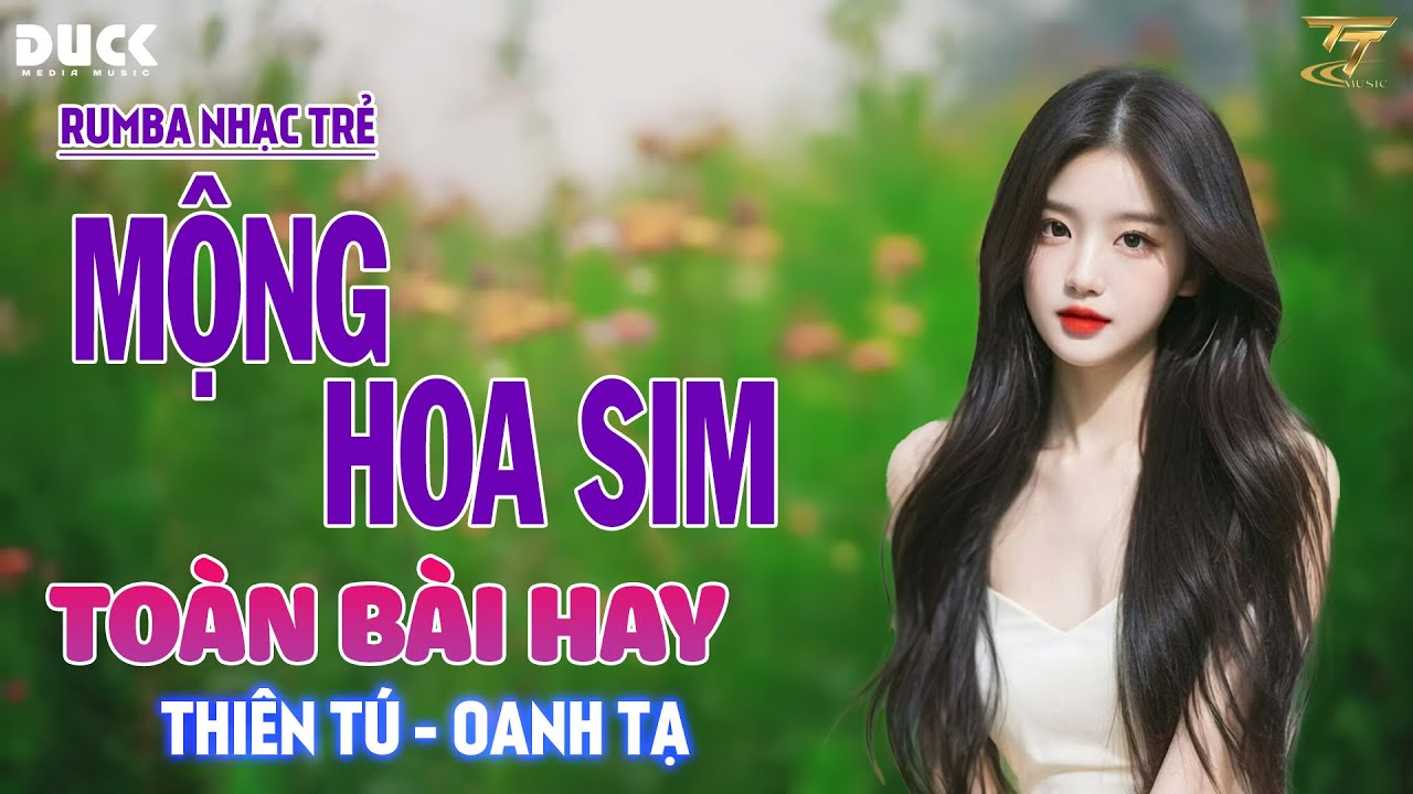 🔴 MỘNG HOA SIM, THƯƠNG LY BIỆT - RUMBA NHẠC TRẺ THIÊN TÚ x OANH TẠ HAY NHẤT 2024