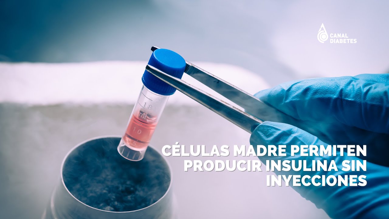 Células madre permiten producir insulina sin inyecciones