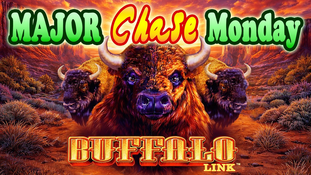 Buffalo Link, Chasing a Maxed Out Major Jackpot for Major Chase Monday at the Palazzo casino!