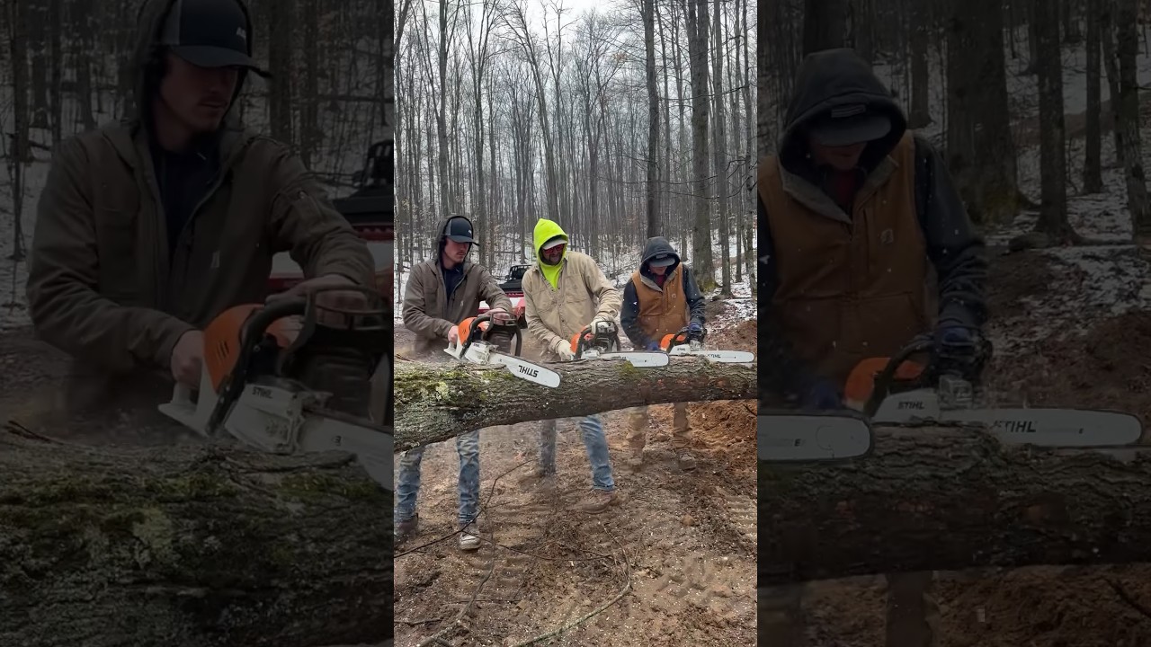 Stihl 500i vs Stihl 400c vs Stihl 291 #stihl #chainsawman #chainsaw #cuttingwood #madeingermany