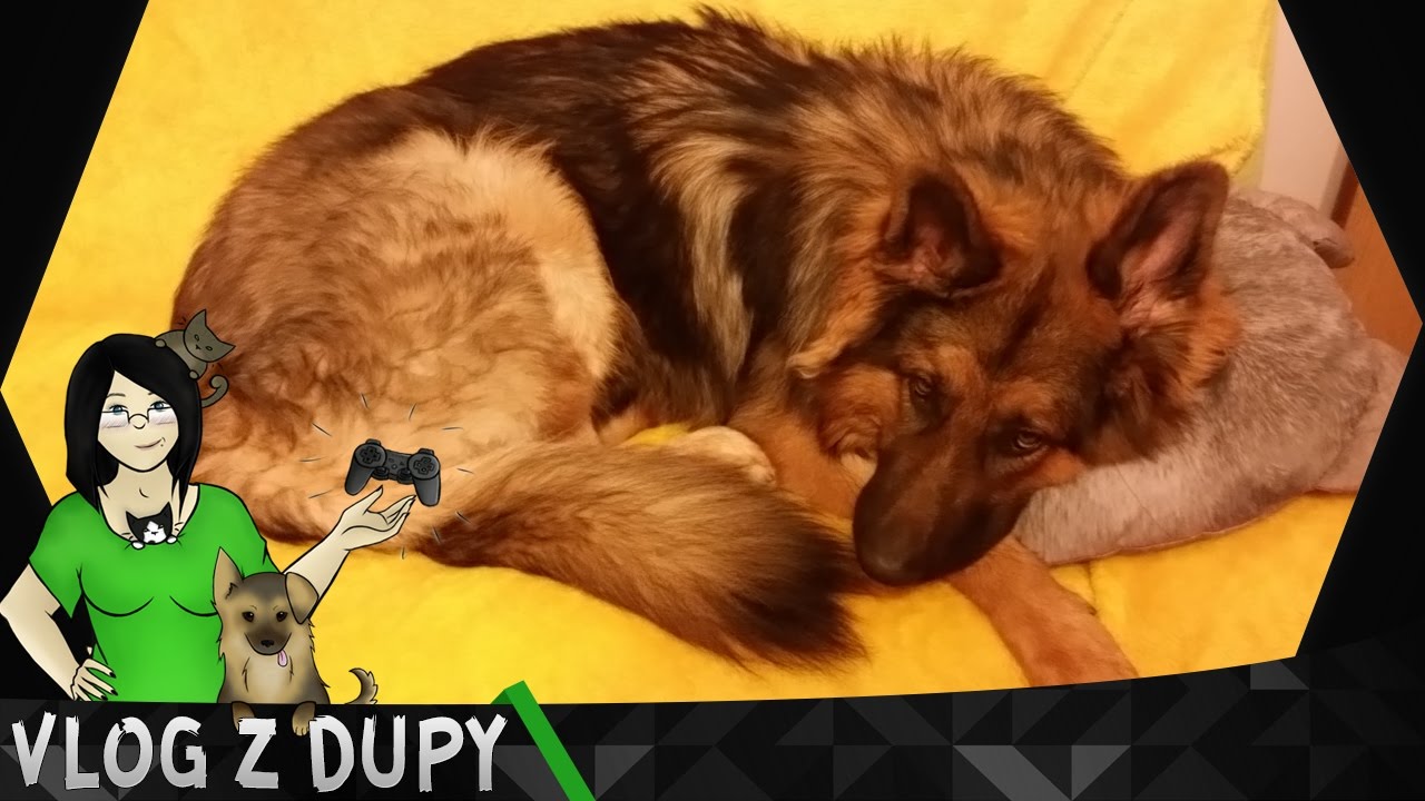 Gra o Tron, Watson i Mrówki - Vlog z dupy
