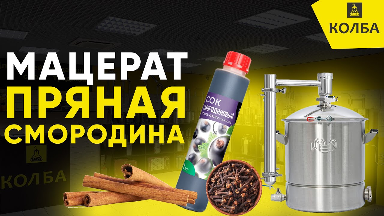 Мацерат черносмородиновый с корицей и гвоздикой на Wein 7