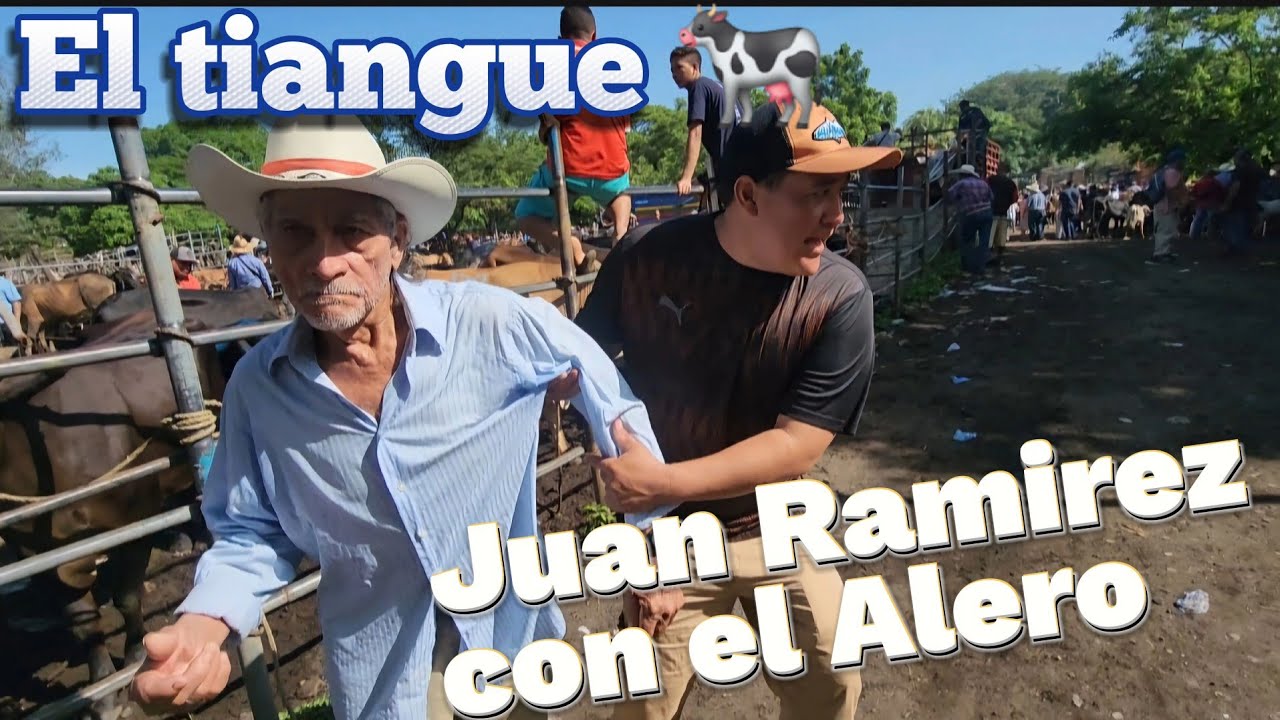 nos fuimos al tiangue al Alero Ovidio Casi  lo AROLLA UN TORO 🐃🚨
