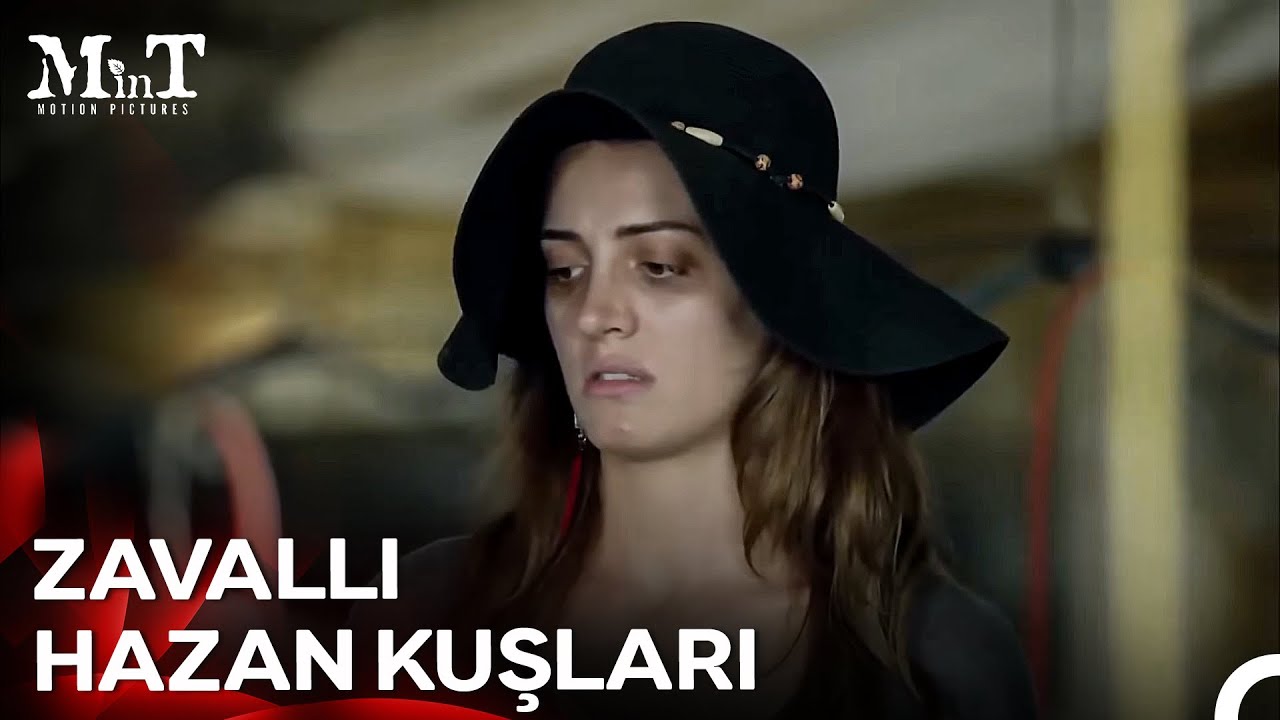 Kanadı Var Uçamaz - Martı
