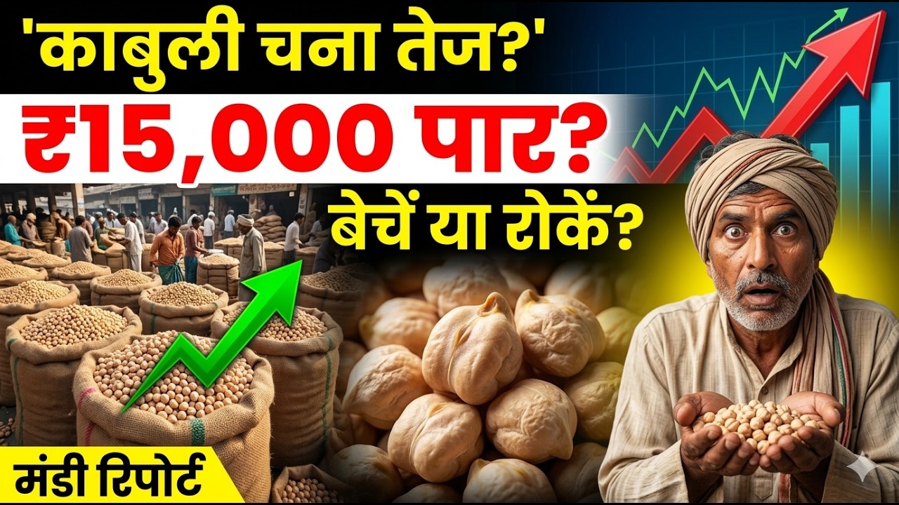 काबुली चना ₹15,000 पार जाएगा? काबुली चना बाजार का बड़ा संकेत | बेचें या रोकें?