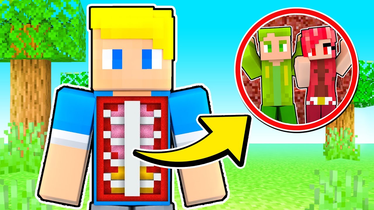 SI PUÒ SOPRAVVIVERE DENTRO SBRISER? - Minecraft ITA
