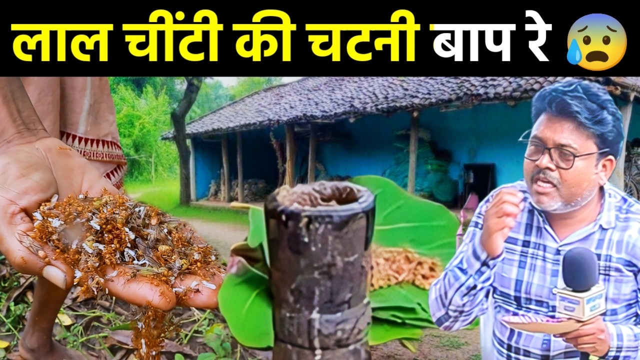  OMG! 😲लाल‌ चींटी की चटनी|| Red Ant Chutney in Chhattisgarh | Bastar’s Famous Chapda Chutney Recipe