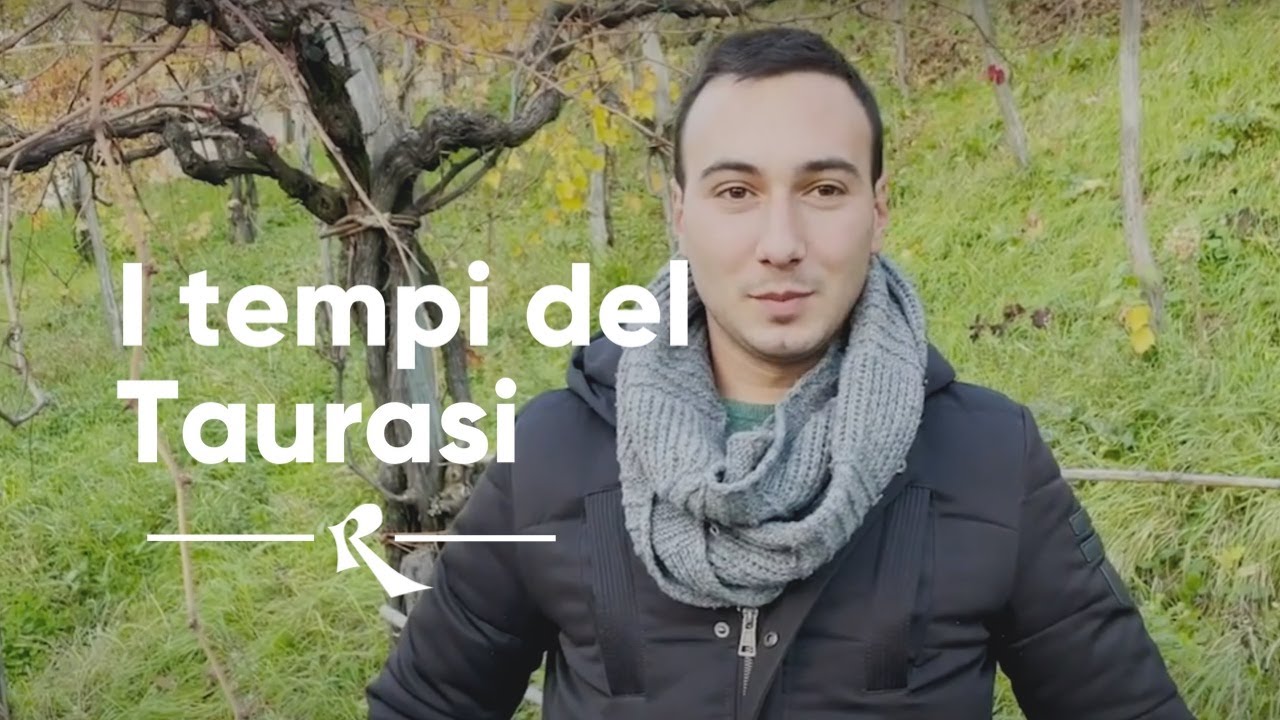 Michele Perillo, Taurasi - I tempi del Taurasi