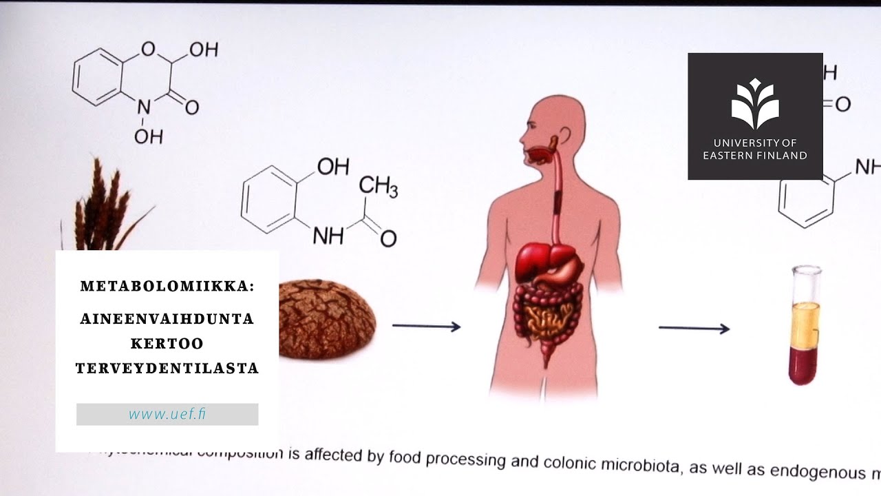 Metabolomiikka: Aineenvaihdunta kertoo terveydentilasta