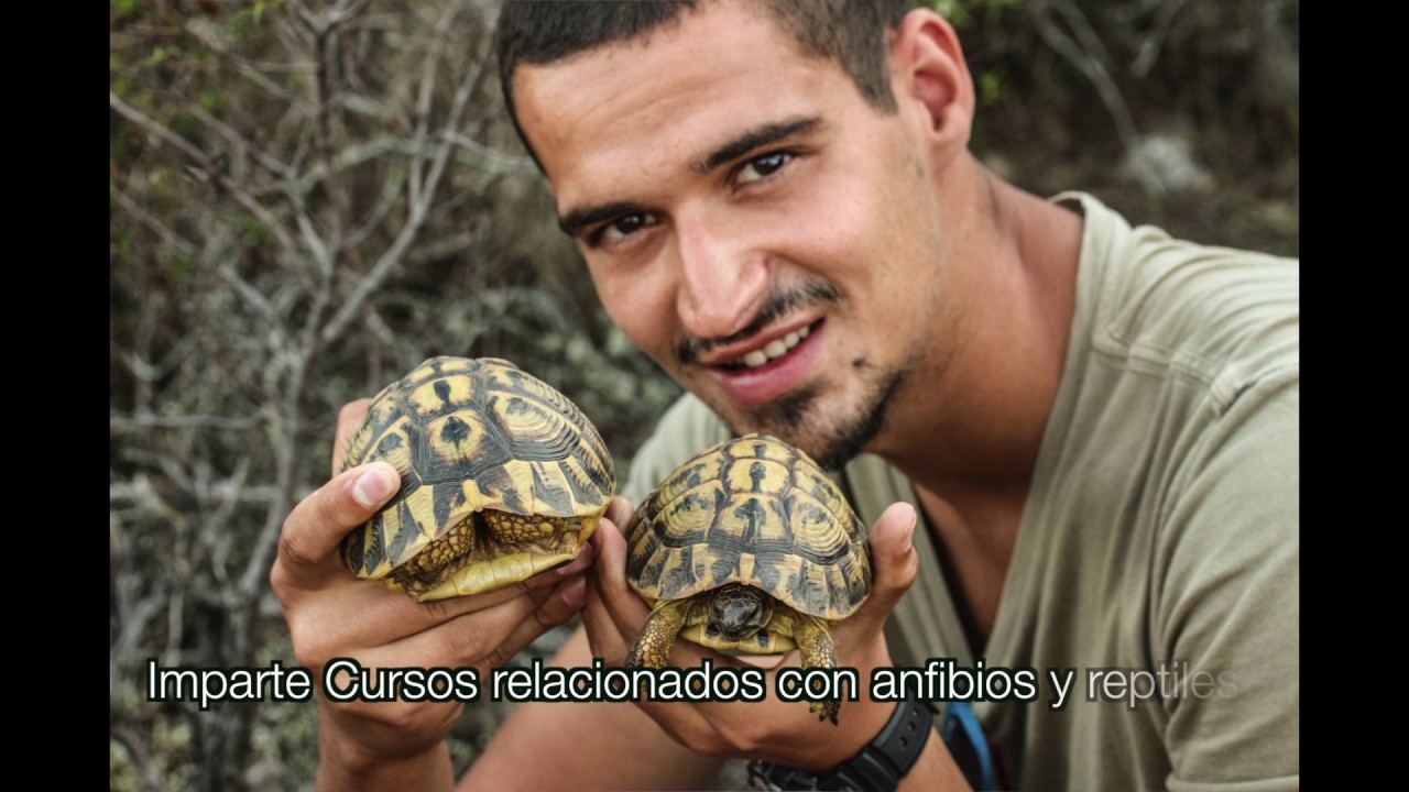 Videocurriculum DAVID HERRERO. Biólogo y auxiliar de Hospital de animales exóticos