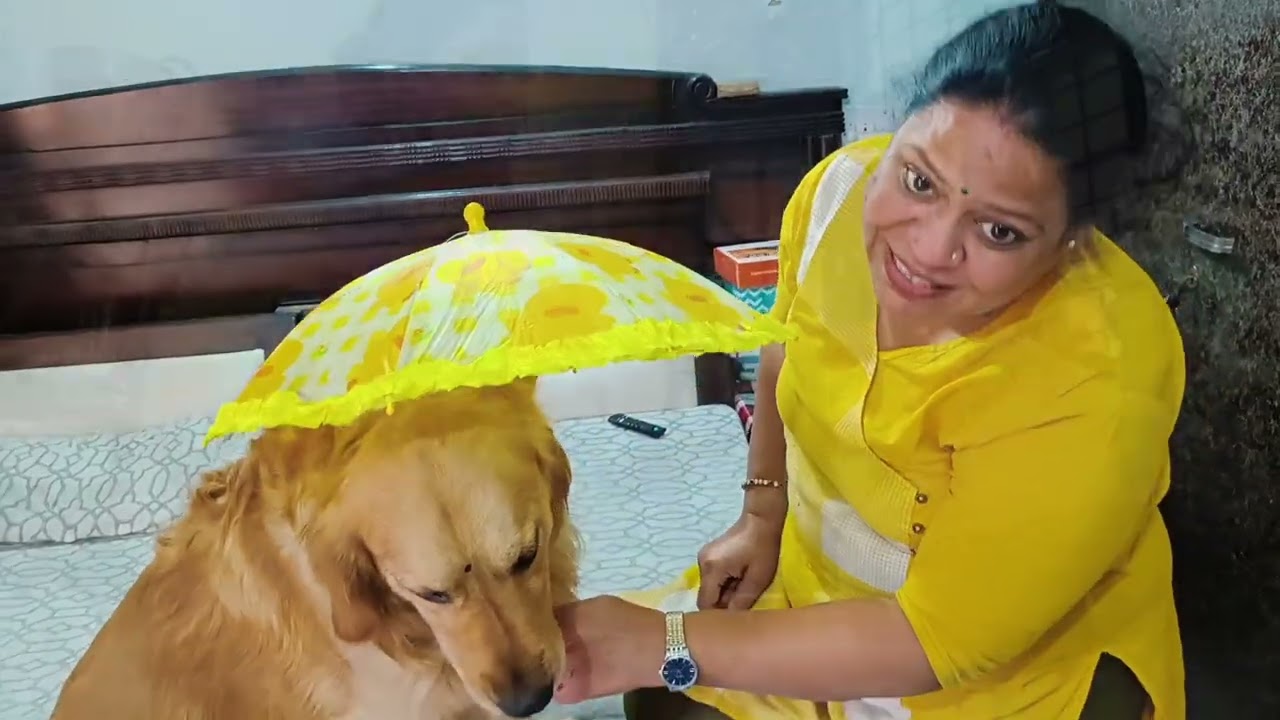 Bhua Leke Aaye Romeo K Liye Gifts 😍