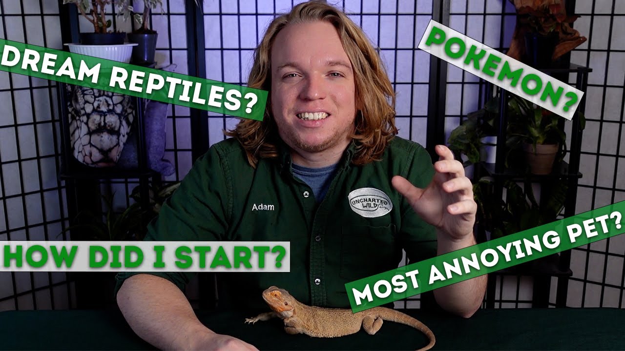 1000 Subscriber Q&A!!!