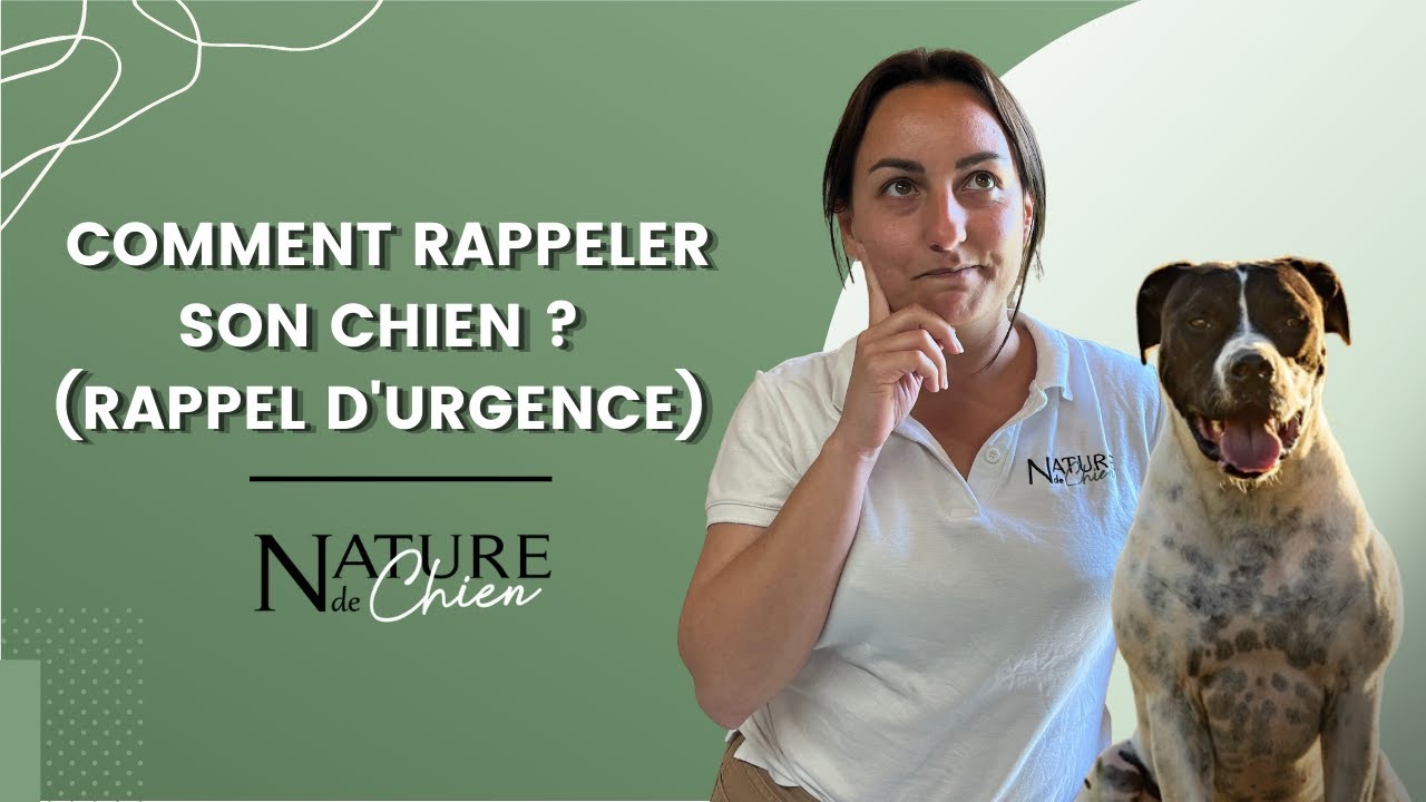 Le rappel d'urgence !! 😱🐕