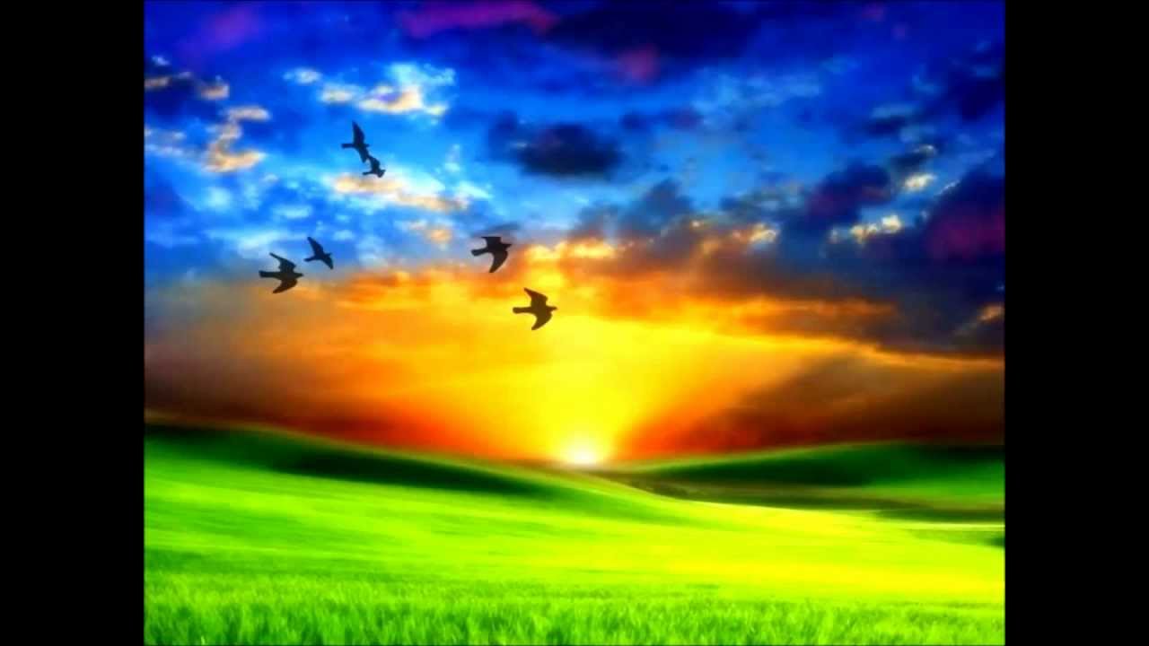 Elder James Flowers & Yolanda Flowers - What Are They Doing In Heaven Today?  (2005)