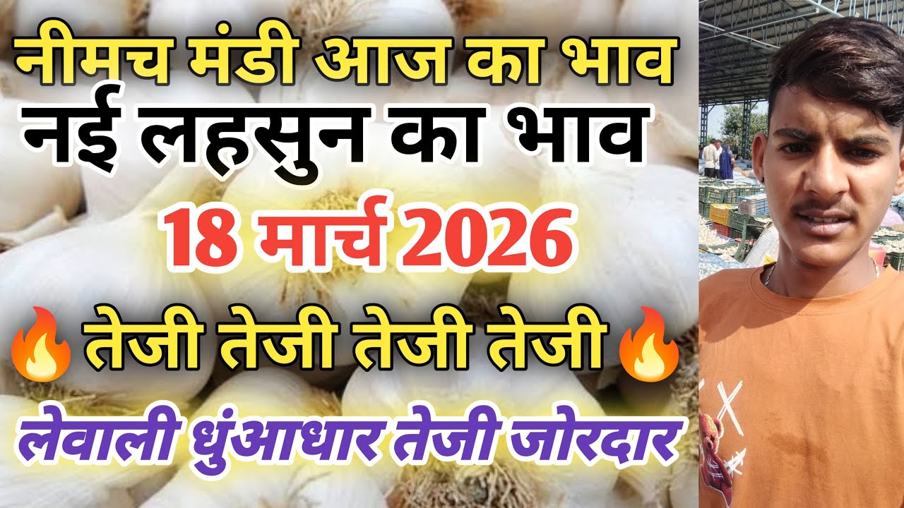 नीमच मंडी आज लहसुन के नये भाव/नीमच मंडी भाव आज/नीमच मंडी लहसुन भाव