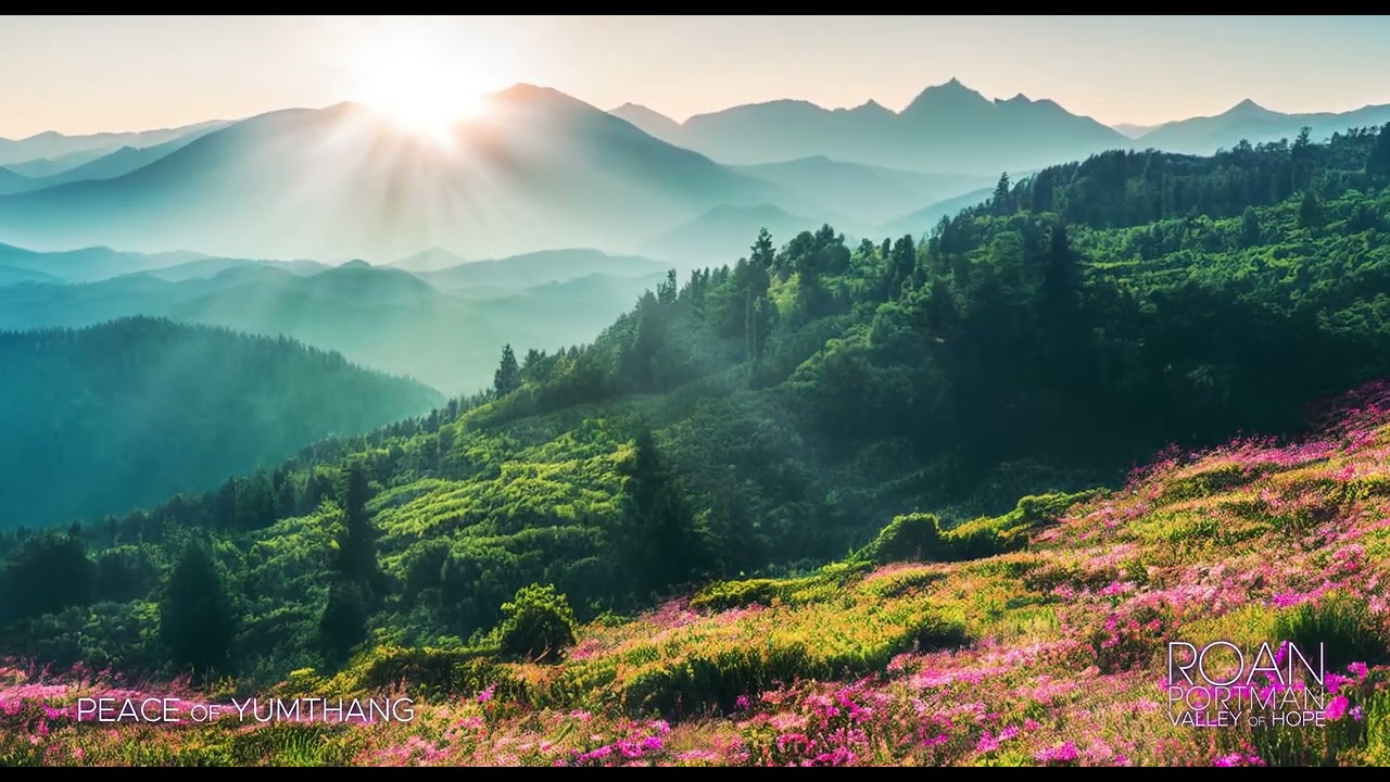 GET RELIEVED FROM STRESS AND ANXIETY WITH NATURE MUSIC - Peace of Yumthang