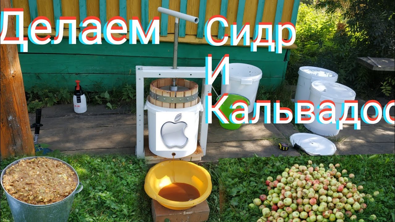 Яблочный сидр на самодельном прессе