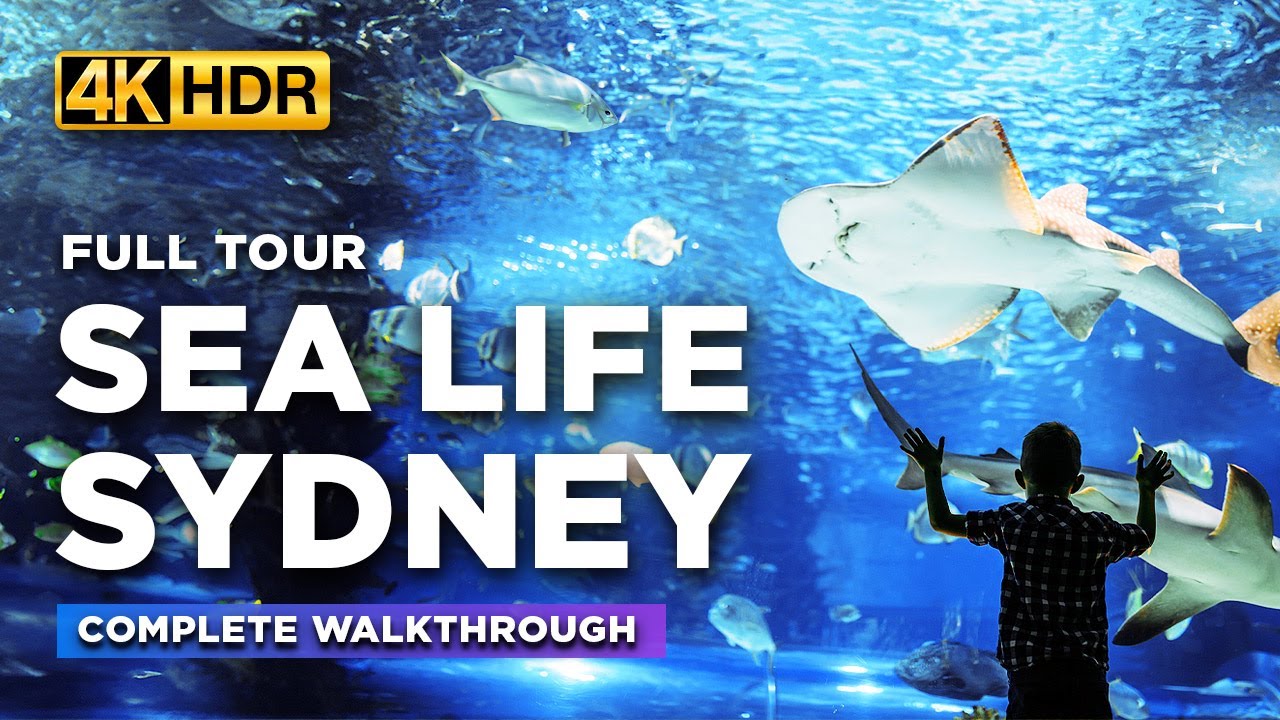 Полный тур по аквариуму SEA LIFE SYDNEY | Полное знакомство с экзотической океанической жизнью Си...