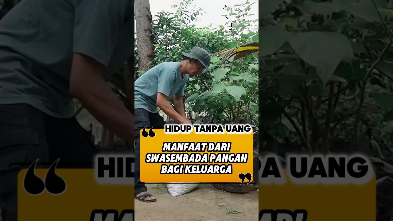HIDUP TANPA UANG DARI SWASEMBADA PANGAN KELUARGA | CERITA USAHA
