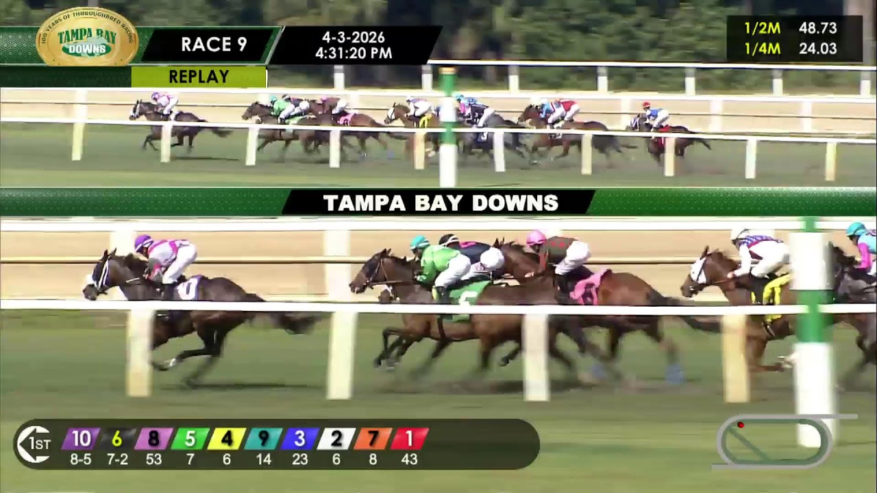 Tampa Bay Downs Live Stream