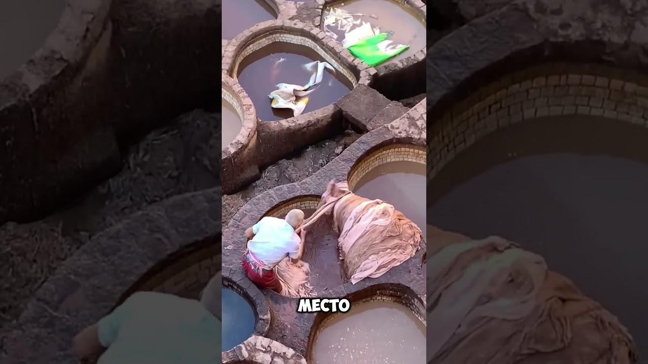 Самое Вонючее Место в Мире 😷