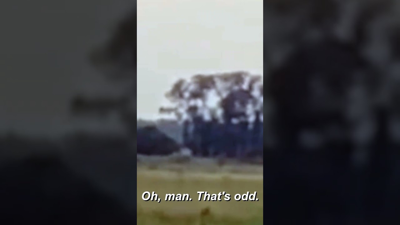 Shapeshifting Creature CAUGHT On Camera | Paranormal Caught on Camera | Travel Channel