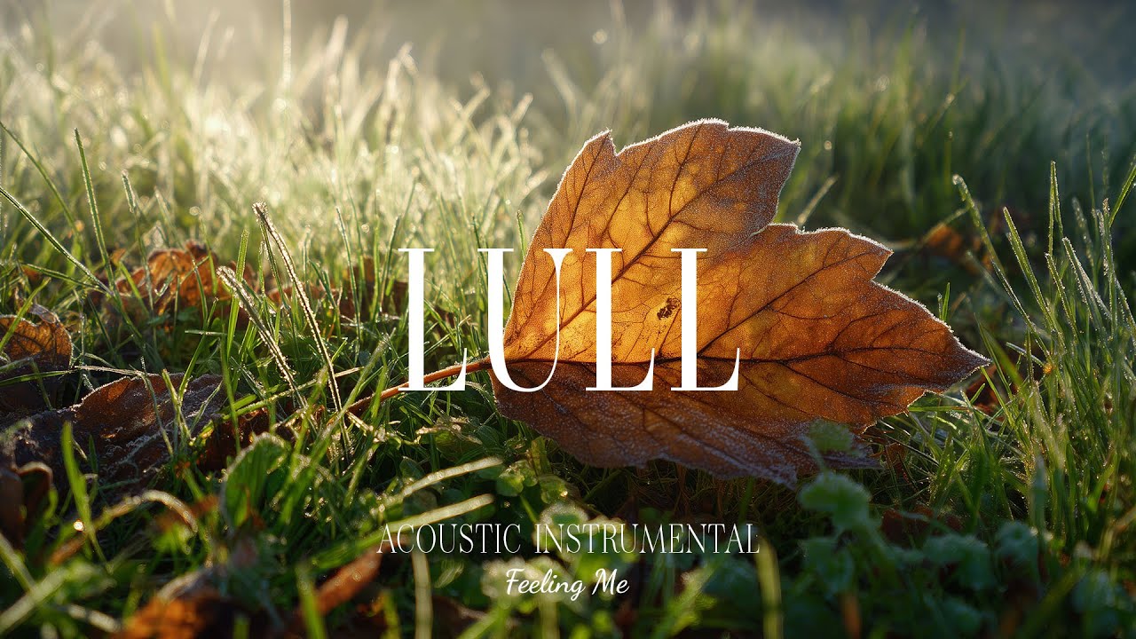 The Lull of Peace 🌿 Relaxing Guitar Music for Emotional Healing and Calm | FEELING ME
